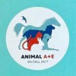 Profile picture of Gary Stevenson