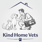 Profile picture of Dragos Moldoveanu